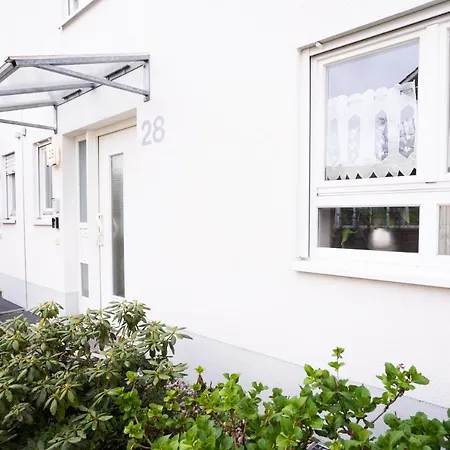 Marina * فايل أم راين