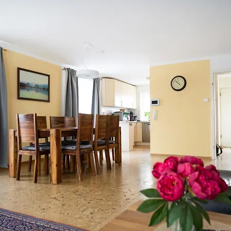 Marina * فايل أم راين